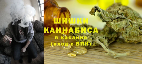 Альфа ПВП Аркадак