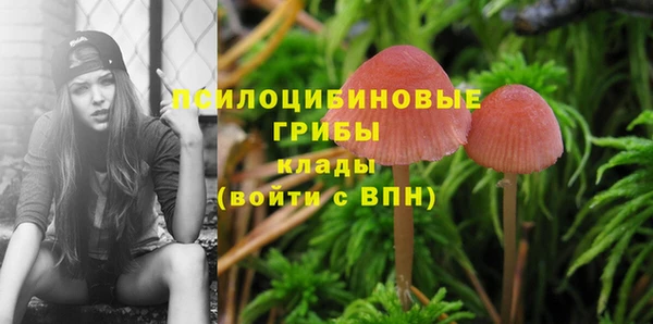 Альфа ПВП Аркадак