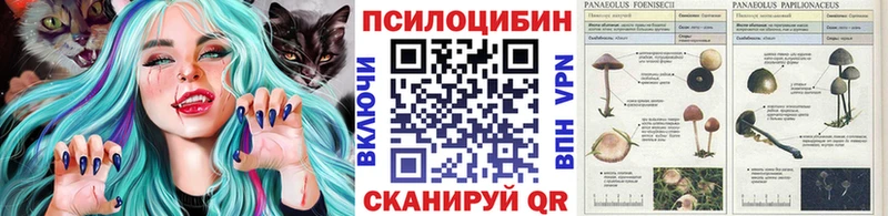Галлюциногенные грибы мухоморы  как найти закладки  Оханск 